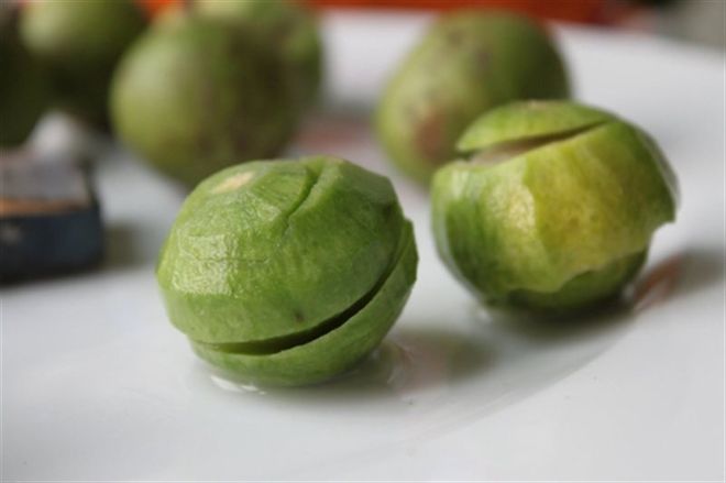 trái sấu