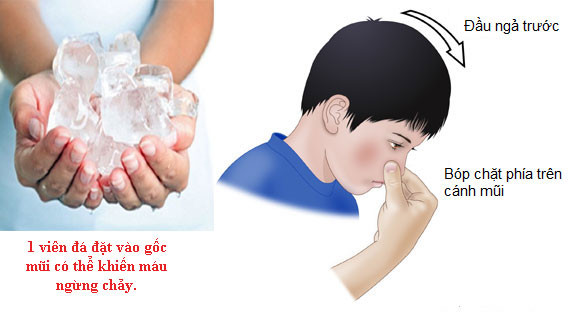 ngăn không cho máu tiếp tục chảy bằng cách bóp chặt mũi bé