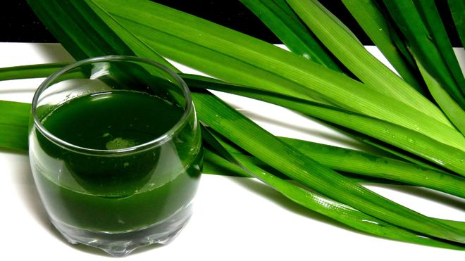 nước cốt lá dứa