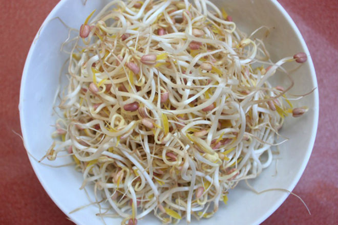 giá đỗ