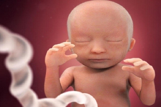 Ở tuần này não bé làm việc tối đa và đang phát triển hàng triệu nơ ron thần kinh