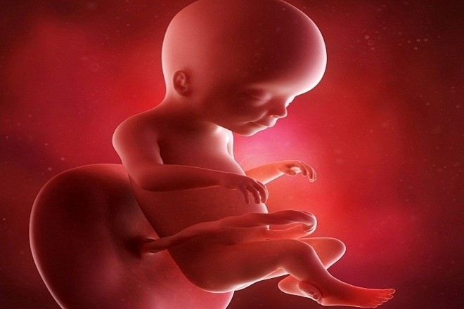 Bé yêu đã như một đứa trẻ thực thụ rồi bởi tất cả các cơ quan đã hình thành
