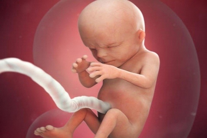 Thai 14 tuần bé đã có thể cử động chân tay và biểu cảm