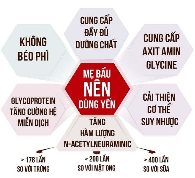 Bà bầu có nên ăn yến sào vì yến sào là nguồn cung cấp dưỡng chất tuyệt vời