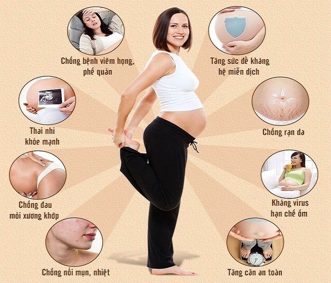 Yến sào có rất nhiều công dụng đối với mẹ bầu