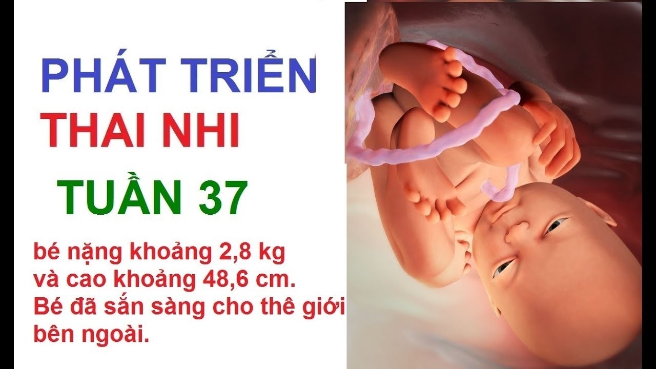 thai 37 tuần trông như một bé sơ sinh
