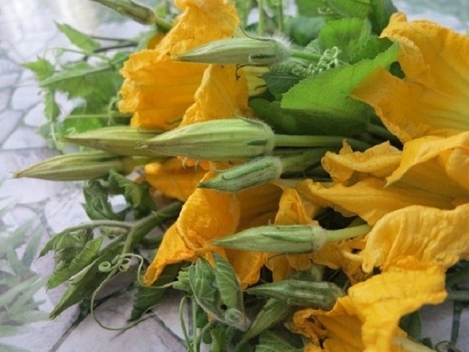 nhặt sạch rau bí