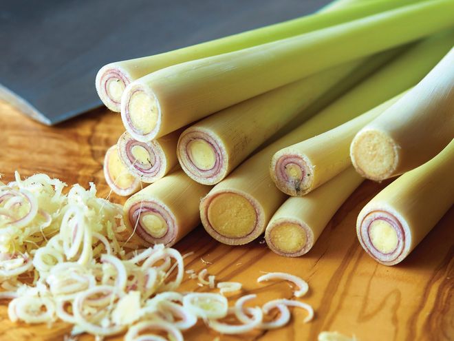sả cây