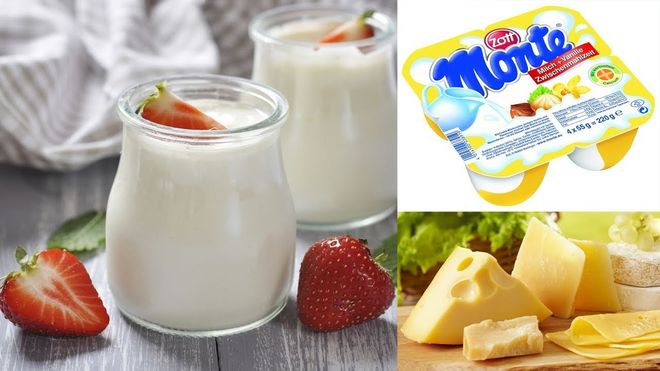 các chế phẩm từ sữa