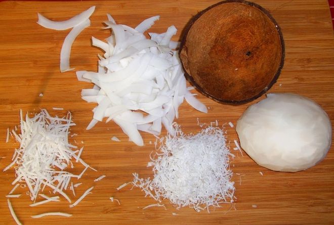 dừa khô già