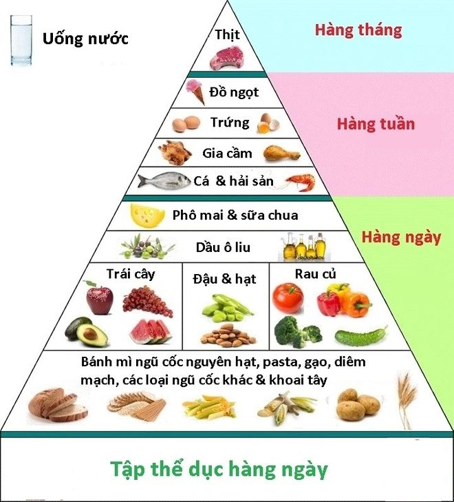Tháp dinh dưỡng
