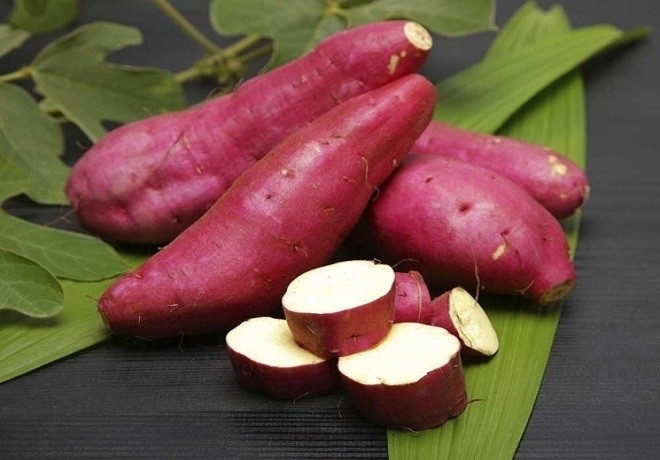 khoai lang