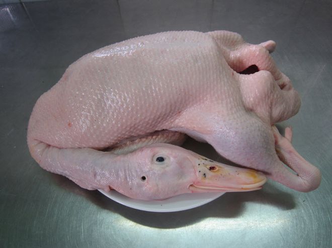vịt được làm sạch