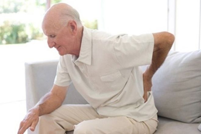 rượu ba kích giúp trị đau lưng hiệu quả