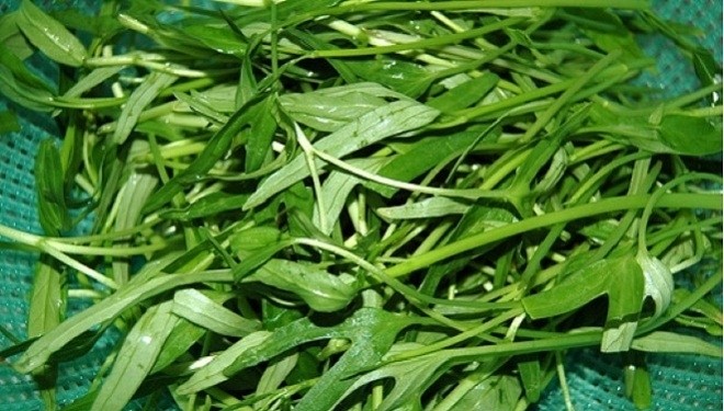 rửa rau muống