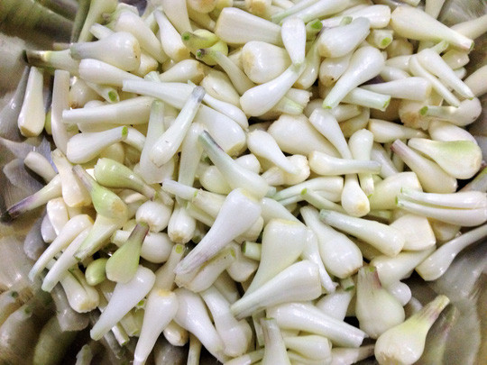 làm sạch kiệu