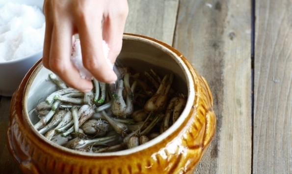 ngâm kiệu với nước tro