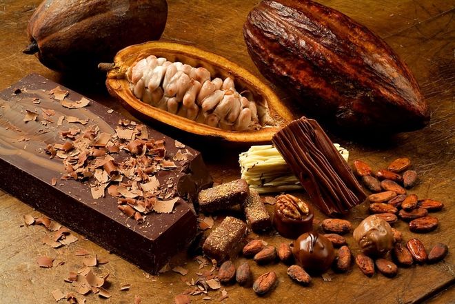 Các Axit béo cần thiết có ở trong các loại hạt, quả hạch và cá
