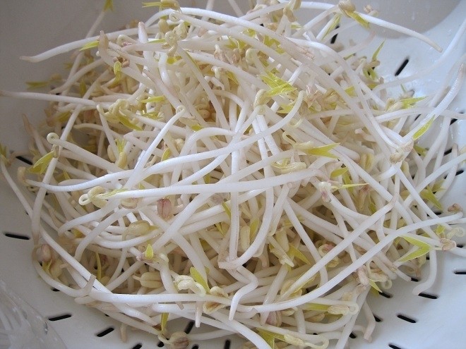 giá đỗ