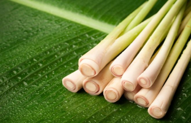 tép sả sơ chế xong