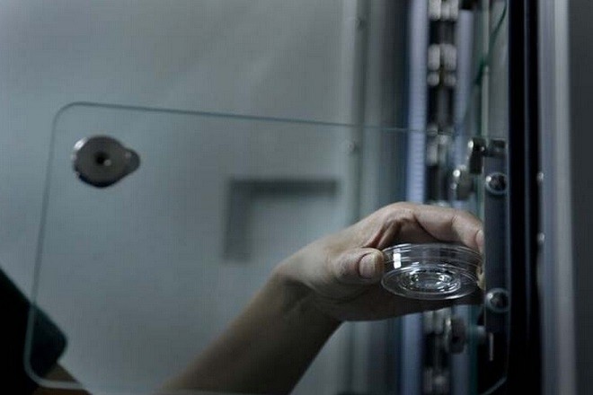 trứng được đặt vào môi trường nuôi cấy phù hợp