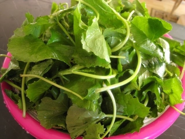 lam sạch rau má