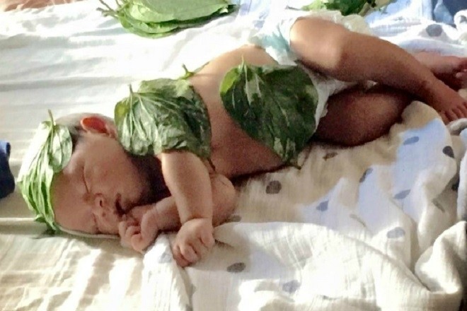 áp lá trầu lên người bé để giúp bé ngủ ngon hơn