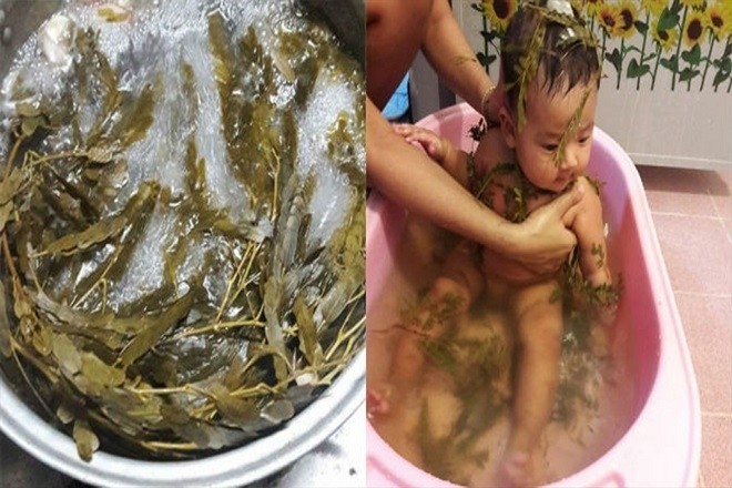 dùng lấ tắm cho trẻ sơ sinh giúp bé khỏe mạnh hơn