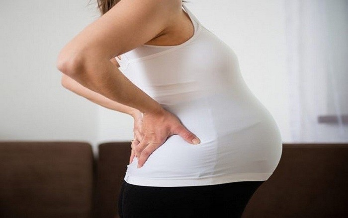 Lượng canxi trong bưởi sẽ ngăn ngừa tình trạng loãng xương ở bà bầu
