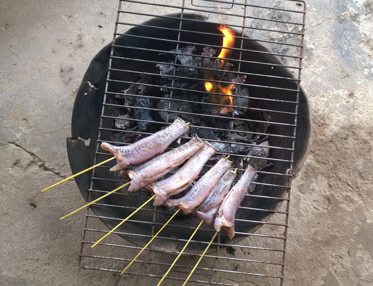 cá bống nướng than