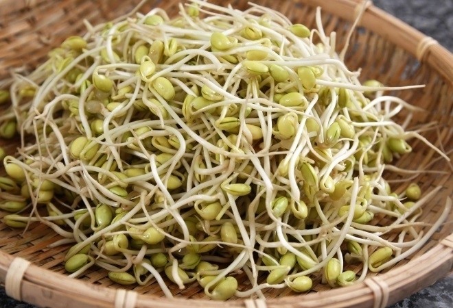 giá đỗ