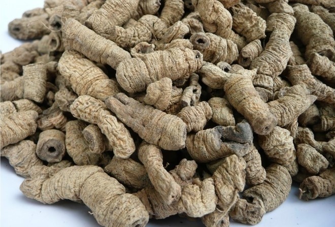 đem ba kích khô sao với lửa nhỏ trong 15 phút để nguội