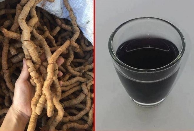 chỉ uống rượu ba kích một ly nhỏ mỗi bữa