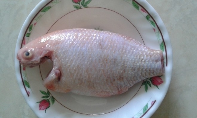 cá hồng