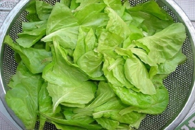 rau xà lách ngâm nước muối rồi vớt ra để ráo