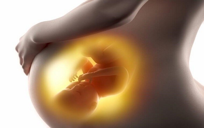 Mật ong tốt cho sức khỏe mẹ và bé