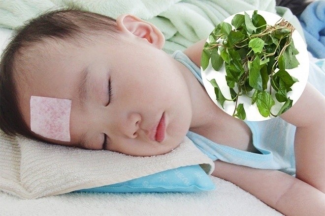 dùng rau diếp cá là một cách hạ sốt nhanh chóng