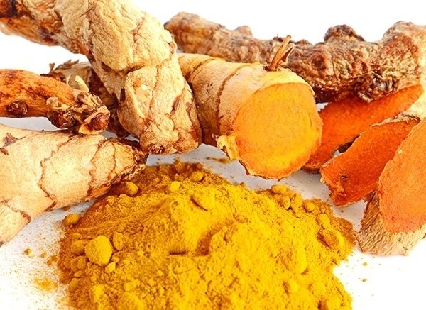 nghệ tươi