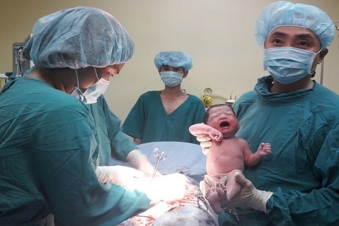 ca thụ tinh thành công tại tỉnh Cà Mau