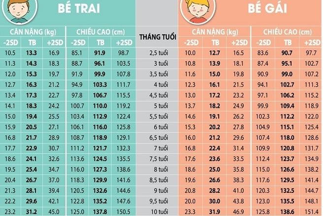 bảng chiều cao cân nặng trẻ 2 10 tuổi