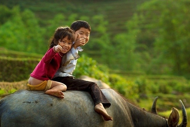 hai em bé cưỡi trâu