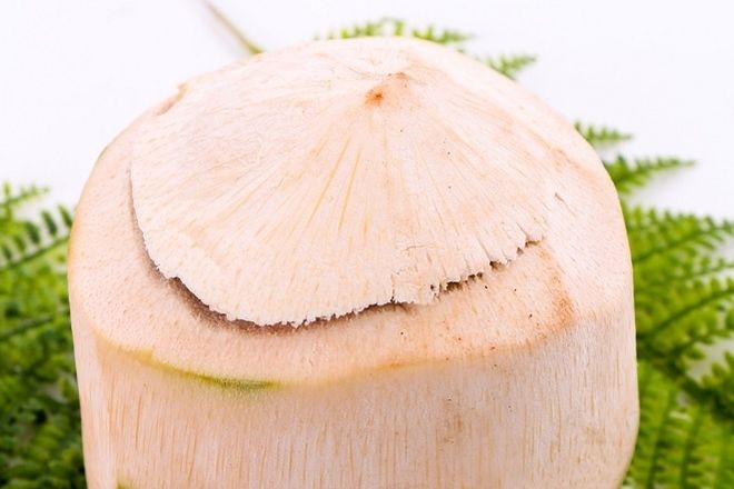 vỏ dừa chặt phần trên