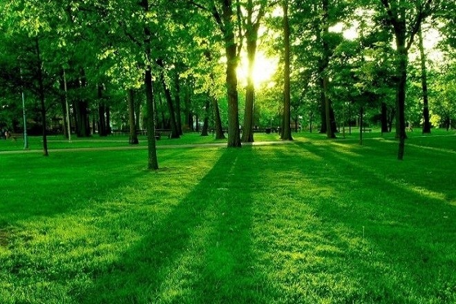 chọn những cái tên gắn liền với bộ Thảo
