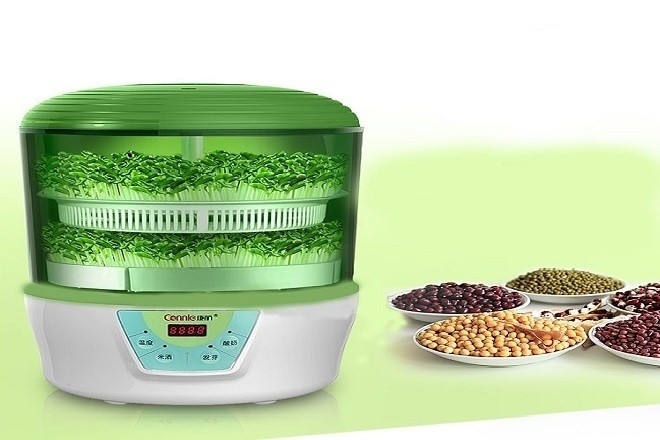 Máy làm giá đỗ sạch đa năng 2 tầng - Green Life Connie 3 in 1.