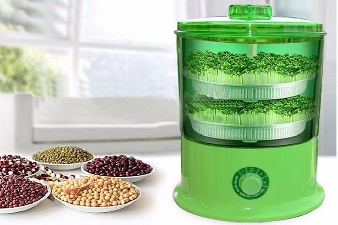 máy làm giá đỗ bách khoa tự động BKCN1