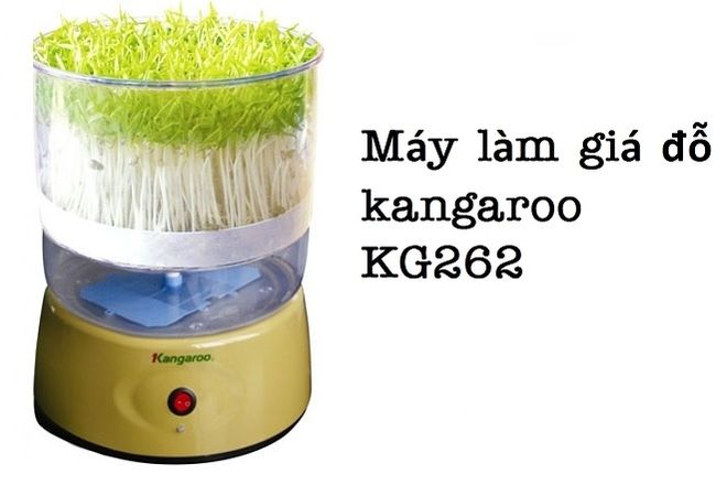 máy làm giá đỗ kangaroo KG262