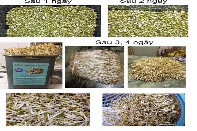 cho ra khối lượng giá cực kì nhiều