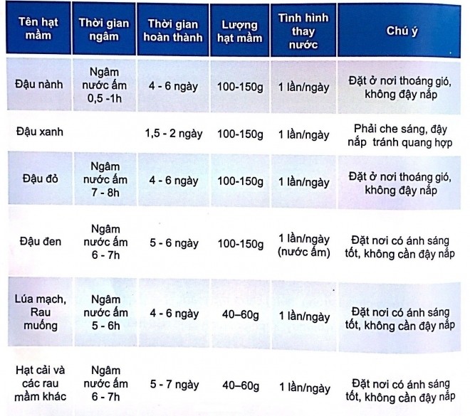 Ngâm hạt đậu trước khi làm giá