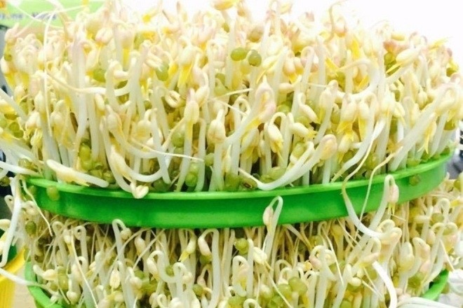 Giá đỗ thành phẩm