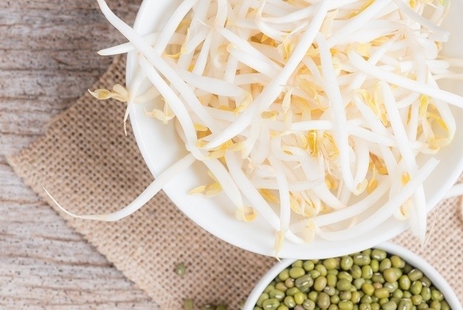 máy làm giá đỗ nào tốt